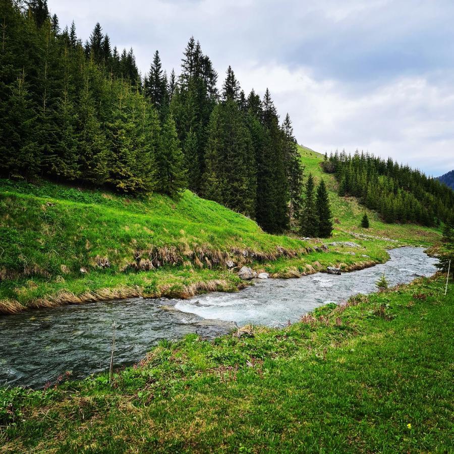 Fewo D'Rock Arosa- Center Of Nightlife By Nature Apartments Switzerland Bagian luar foto