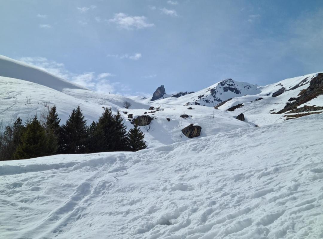 Fewo D'Rock Arosa- Center Of Nightlife By Nature Apartments Switzerland Bagian luar foto